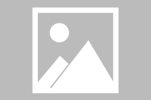 开云体育下载-国际龙舟赛激情再燃 江西南昌打造文旅体商融合全民盛会|江西省|南昌市|赛事|竞技